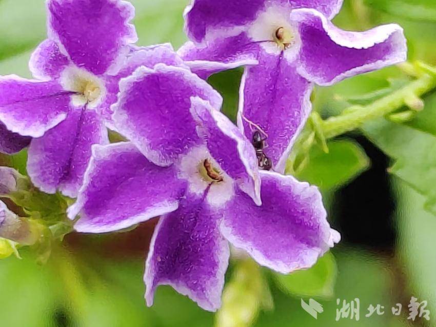 太阳集团城网址